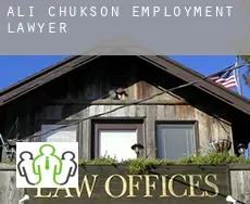 Ali Chukson  employment lawyer