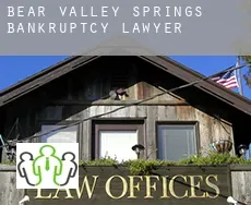 Bear Valley Springs  bankruptcy lawyer
