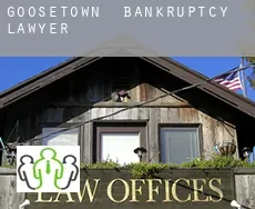 Goosetown bankruptcy lawyer