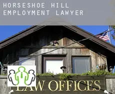 Horseshoe Hill  employment lawyer