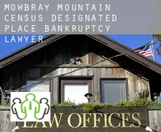 Mowbray Mountain  bankruptcy lawyer
