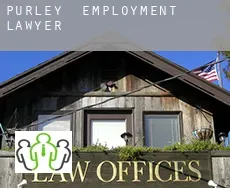 Purley  employment lawyer