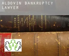 Aldovin bankruptcy lawyer