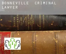 Bonneville  criminal lawyer
