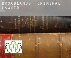 Broadlands  criminal lawyer