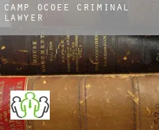 Camp Ocoee  criminal lawyer