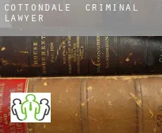 Cottondale  criminal lawyer