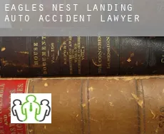 Eagles Nest Landing  auto accident lawyer