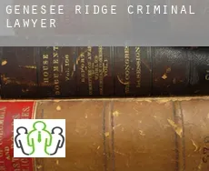 Genesee Ridge  criminal lawyer