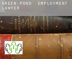 Green Pond  employment lawyer