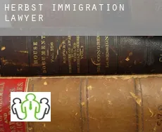 Herbst  immigration lawyer