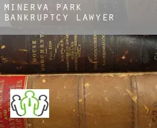 Minerva Park  bankruptcy lawyer