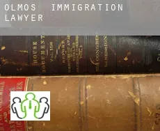 Olmos  immigration lawyer