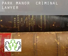 Park Manor  criminal lawyer