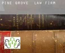 Pine Grove  law firm