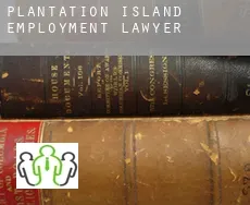 Plantation Island  employment lawyer
