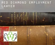Red Diamond  employment lawyer