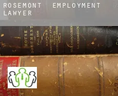 Rosemont  employment lawyer