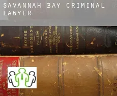 Savannah Bay  criminal lawyer