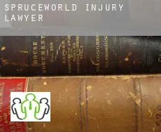 Spruceworld  injury lawyer