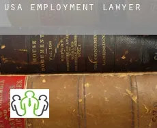 USA  employment lawyer