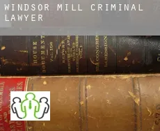 Windsor Mill  criminal lawyer