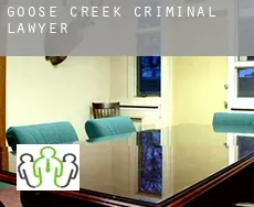 Goose Creek criminal lawyer
