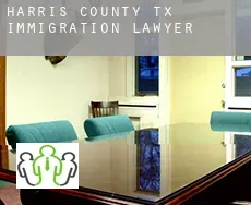 Harris County  immigration lawyer