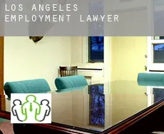 Los Angeles  employment lawyer