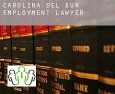 South Carolina  employment lawyer