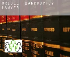 Oriole  bankruptcy lawyer