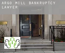 Argo Mill  bankruptcy lawyer
