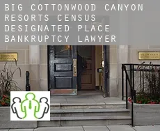 Big Cottonwood Canyon Resorts  bankruptcy lawyer