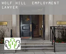 Wolf Hill  employment lawyer