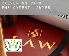 Calverton Park  employment lawyer