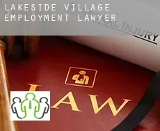 Lakeside Village  employment lawyer