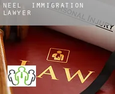 Neel  immigration lawyer
