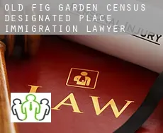 Old Fig Garden  immigration lawyer