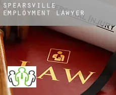 Spearsville employment lawyer