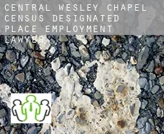 Central Wesley Chapel  employment lawyer
