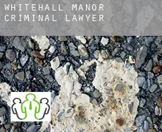 Whitehall Manor  criminal lawyer