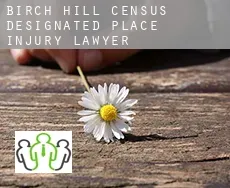 Birch Hill  injury lawyer
