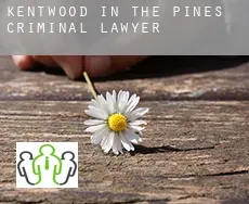 Kentwood-In-The-Pines  criminal lawyer