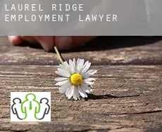 Laurel Ridge  employment lawyer