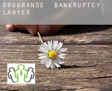 Orogrande  bankruptcy lawyer