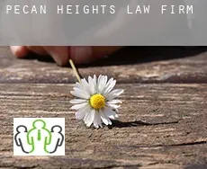 Pecan Heights  law firm