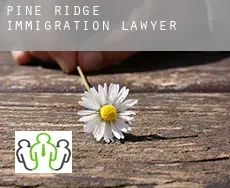 Pine Ridge  immigration lawyer
