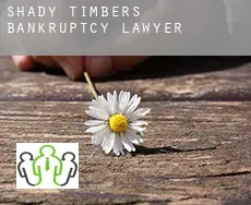 Shady Timbers  bankruptcy lawyer
