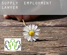 Supply  employment lawyer