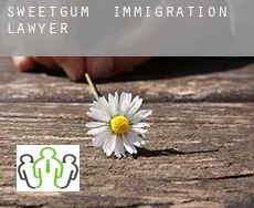 Sweetgum  immigration lawyer